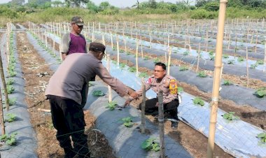 Polsek-Taman-Tinjau-Perkembangan-Lahan-Ketahanan-Tanaman-Pepaya-di-Kelurahan-Sepanjang